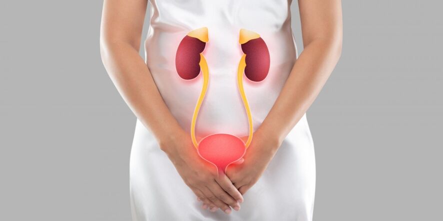 Female cystitis is an inflammation that occurs in the bladder tissues